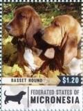 Colnect-5812-298-Basset-hounds.jpg