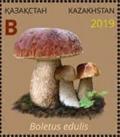 Colnect-6282-269-Boletus-edulis.jpg