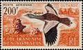 Colnect-806-399-Great-Bustard-Otis-tarda.jpg