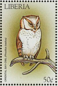 Colnect-1641-829-Oriental-Bay-Owl-Phodius-badius.jpg