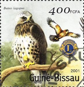 Colnect-6069-710-Buteo-lagopus.jpg