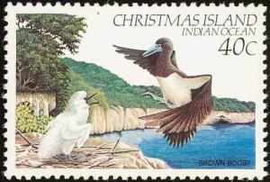 Colnect-1595-967-Forster-s-Brown-Booby-Sula-leucogaster-plotus.jpg