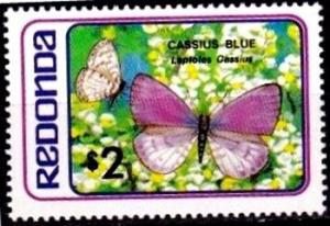 Colnect-2958-455-Cassius-Blue-Leptotes-cassius.jpg