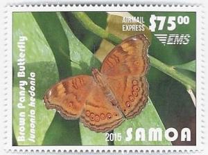 Colnect-3628-358-Brown-Pansy-Butterfly-Junonia-hedonia.jpg