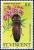 Colnect-2236-484-Oleander-Fire-Beetle-Pyrophorus-noctiluca.jpg