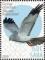 Colnect-6138-458-Birds-of-Saba.jpg