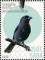 Colnect-6138-460-Birds-of-Saba.jpg