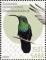 Colnect-6138-453-Birds-of-Saba.jpg