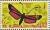 Colnect-1256-977-Transparent-Burnet-Zygaena-purpuralis.jpg