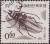 Colnect-2334-482-Long-horned-Beetle-Callipogon-relictus.jpg