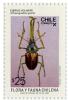 Colnect-673-890-Grant--s-Stag-Beetle-Chiasognathus-granti.jpg