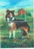 Colnect-5128-799-Border-Collie.jpg