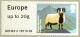 Colnect-2299-393-Welsh-Mountain-Badger-Face-Ovis-ammon-aries.jpg