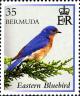Colnect-2789-060-Eastern-Bluebird-Sialia-sialis.jpg