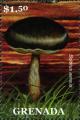 Colnect-3073-695-Boletus-aereus.jpg