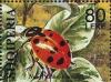 Colnect-1531-473-Ladybird-Coccinella-sp-on-leaves.jpg