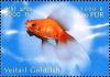 Colnect-2582-882-Veiltail-Goldfish-Carassius-gibelio-forma-auratus.jpg