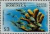 Colnect-3171-785-Elkhorn-Coral-Acropora-palmata.jpg