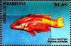 Colnect-4105-279-Cuban-hogfish.jpg