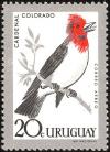 Colnect-4233-194-Red-crested-Cardinal-Paroaria-coronata.jpg