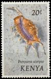 Colnect-4500-607-Scorpion-Conch-Pterocera-scorpio.jpg