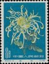 Colnect-485-630-Chrysanthemum.jpg