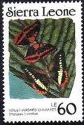 Colnect-2556-388-Violet-washed-Charaxes-Charaxes-lucretius.jpg