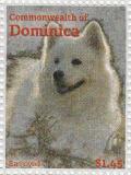Colnect-3276-996-Samoyed-Canis-lupus-familiaris.jpg