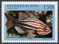 Colnect-854-774-Western-Striped-Cardinalfish-Apogon-victoriae.jpg