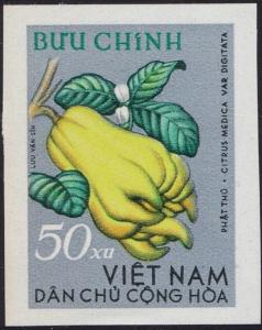 Colnect-6317-569-Buddhas-hand-Citrus-medica-var-digitata.jpg