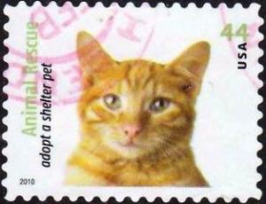 Colnect-1699-661-Orange-Tabby-Cat-Felis-silvestris-catus.jpg