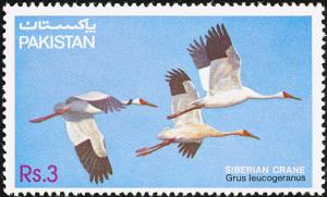 Colnect-1961-745-Siberian-Crane-Grus-leucogeranus.jpg
