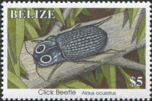 Colnect-2185-911-Eastern-eyed-Click-Beetle-Alaus-oculatus.jpg