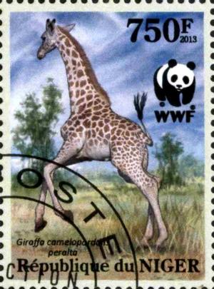 Colnect-3976-832-Giraffa-camelopardalis-peralta.jpg
