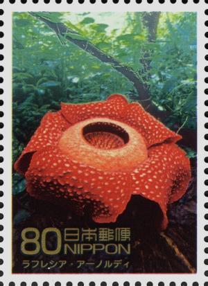 Colnect-4031-766-Stinking-Corpse-Lily---Indonesia.jpg