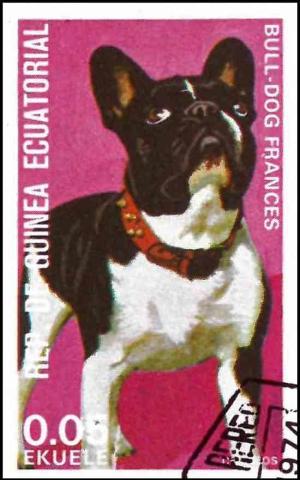 Colnect-4990-015-Bulldog-Canis-lupus-familiaris.jpg