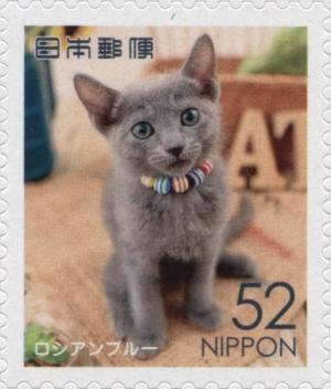 Colnect-5169-335-Russian-Blue-Cat-Felis-Silvestris-Catus.jpg