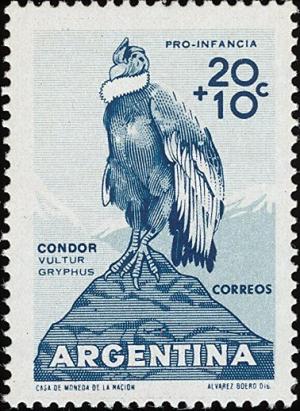 Colnect-5250-640-Andean-Condor-Vultur-gryphus.jpg