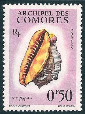 STS-Comoros-1-300dpi.jpg-crop-357x476at233-1700.jpg