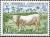 Colnect-1320-835-Charolais-Bull.jpg