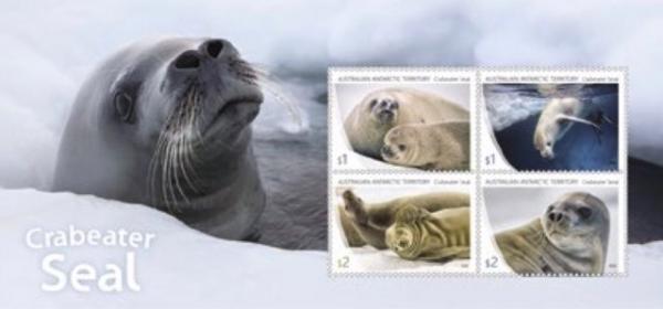 Colnect-4832-360-Crabeater-Seal.jpg