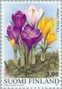 Colnect-160-519-Spring-Crocus-Crocus-vernus.jpg