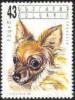 Colnect-449-620-Chihuahua-Canis-lupus-familiaris.jpg
