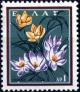 Colnect-3105-746-Crocus-atticus.jpg