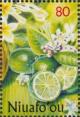 Colnect-4799-561-Limes-Citrus-aurantiifolia.jpg