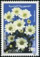 Colnect-6305-984-Chrysanthemums.jpg