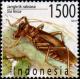 Colnect-976-146-Cave-Cricket-Sia-ferox.jpg