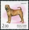 Colnect-2024-492-Shar-pei-Canis-lupus-familiaris.jpg