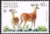 Colnect-2205-850-White-tailed-Deer-Odocoileus-virginianus.jpg