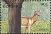 Colnect-3228-512-White-tailed-Deer-Odocoileus-virginianus.jpg